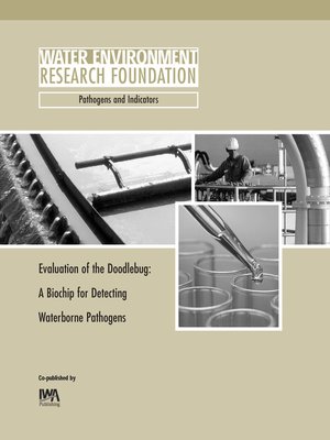 cover image of Evaluation of the Doodlebug